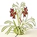 Paper Spiritz Pop up Mother's Day Cards, Flower Greeting Card Birthday Card Thank You Card with Envelope, Get Well Pop Up Card, I Love Mom Cards for Women Wife Mom Sister Aunt Granny (2013)
