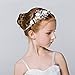 DreamYo Headdress Flowers Crystal Pearls Rhinestones Beading Beautiful Girls Hair Accessories Princess Hair Jewelry Ceremony performce Prom Party Wedding 9 Styles (CT)
