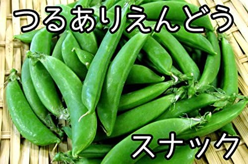 Amazon 生産農場直送 エンドウ苗 つるありスナック エンドウ 葉菜苗 4株入りパック プロ農家も使う葉菜苗 野菜苗 ガーデニング 家庭菜園 野菜