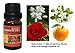 Kama Sutra - 100% Pure Therapeutic Grade Essential Oil 10ML (Blended)