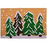 Calloway Mills 122251729 Winter Wonderland Doormat, 17