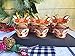Funky Fledgling Christmas Reindeer Rudolph Cupcake Wrappers and Toppers - 24 Set - Gold, Disposable - Perfect for Birthday, Christmas, Parties, School Occasions
