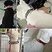 Didog Leather Padded Spiked Studded Dog Collar for Small Medium Dogs- Pink 12-15