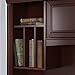 Bush Furniture Birmingham Hutch for Credenza Desk in Harvest Cherry