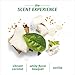 Herbal Essences Biorenew Coconut Milk Oil Infused Crème, 5.1 FL OZ