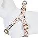 Blueberry Pet 9 Patterns Step-in Spring Scent Inspired Pink Rose Print Ivory Dog Harness, Chest Girth 16.5