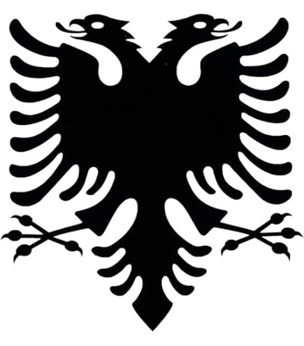 Bandiera Da Pilastro 7000 Mm E 1000 Kg - Stock Fallimenti - Foto 7