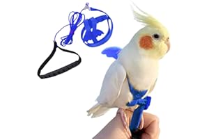 FORZENA Birds Adjustable Harness and Leash, Parrot Outdoor Flying Training Traction Rope Straps with Cute Wing for Small Animal Birds, Parrots, Pigeons, Lizard, Turtles (M,Blue)