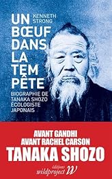 Un  boeuf dans la tempête