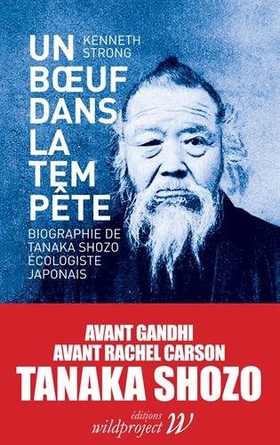 Un  boeuf dans la tempête