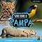 Livro Biomas do Brasil - Tudo sobre O Pampa
