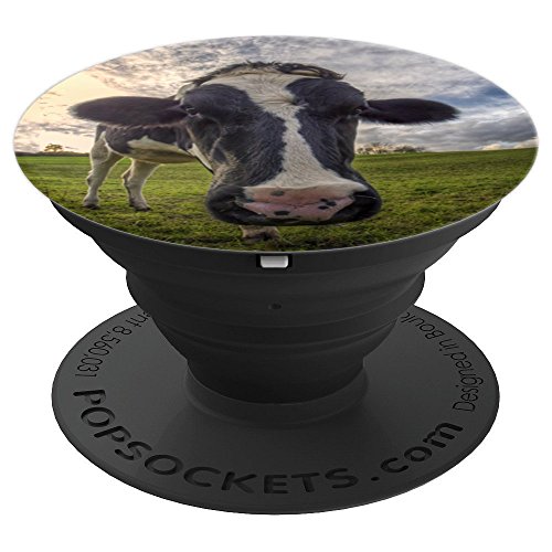 Cow Pop Socket Funny Cows Photo Gift – PopSockets Grip and Stand for Phones and Tablets