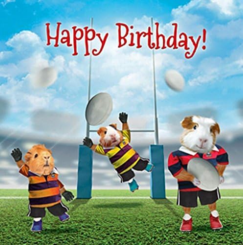 Guinea Pig Rugby Birthday Card Kick Through