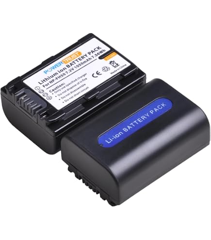 Amazon.com : Battery Pack for Sony Cybershot DSC-HX1, DSC-HX100V