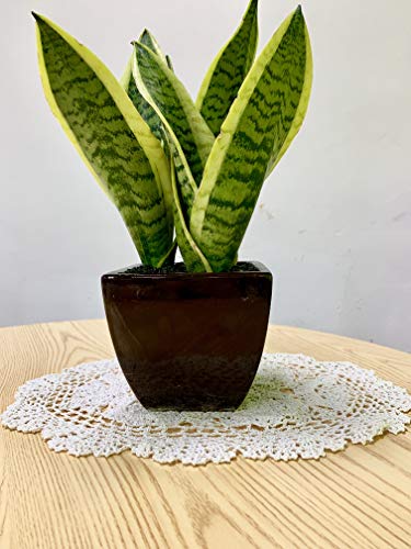 EIYYE Handmade Cotton Crochet Doilies Lace Table Placemats 12 x18inch Oval, White (2) - Thumbnail 2