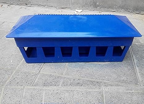 automatic pigeon feeder