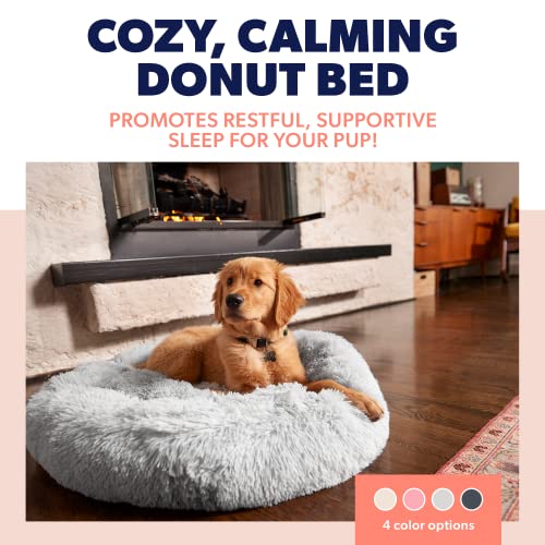 Active Pets Plush Calming Dog Bed, Donut Dog Bed for Small Dogs, Medium