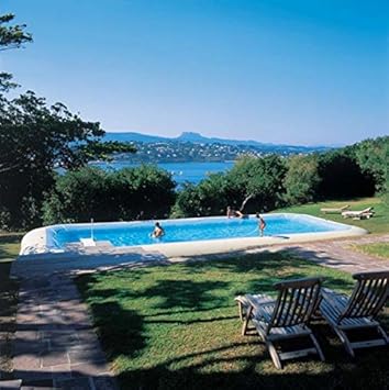 Zodiaque Hippopotame Original Rectangulaire Piscine 685 X 485 M