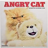 Angry Cat 2019 Wall Calendar by