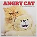 Angry Cat 2019 Wall Calendar by
