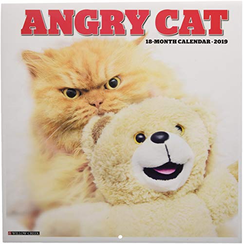 Angry Cat 2019 Wall Calendar by Willow Creek Press