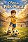 Livro O Voo de Pedro Marçal