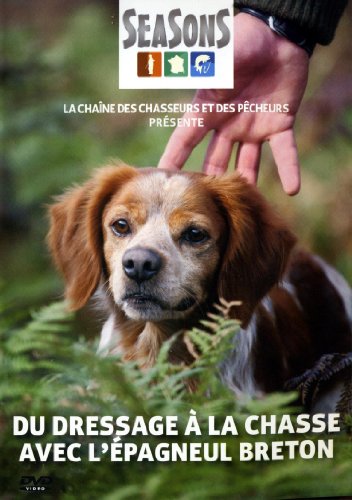 Du Dressage À La Chasse Avec L'épagneul Breton