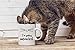 I'm Getting Meowied - 11OZ Coffee Mug - Perfect Gift for Brides - Mugs For Weddings - Crazy Bros Mugs