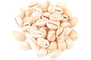 Cheriswelry 50pcs White Natural Spiral Shell Beads Sea Shells Beach Spacer Beads Charms Cowrie Shells Loose Beads 17~22mm 1mm Hole for Summer DIY Earring Bracelet Necklace Jewelry Making