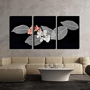 3 Piece Canvas Wall Art - Lace Leaves on Black Background - Modern Home Art Stretched and Framed Ready to Hang - 16"x24"x3 Panels