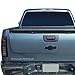 Auto Dynasty Dual Row LED Chrome 3rd Third Tail High Mount Stop Brake Light Cargo Lamp Compatible with Silverado Sierra GMT800 99-07
