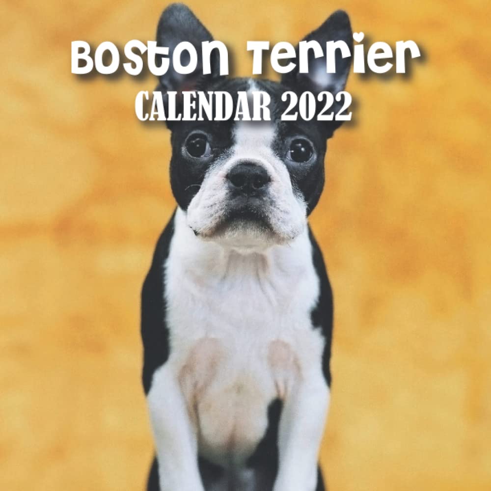 Boston Terrier Calendar 2022 Boston Terrier Calendar 2022: A Monthly Mini Calendar For 2022 With  Beautiful Boston Terrier Photos. Boston Terrier Calendar 2022. Gift For Dog  Lovers: Books, Soil: 9798773930778: Amazon.com: Books