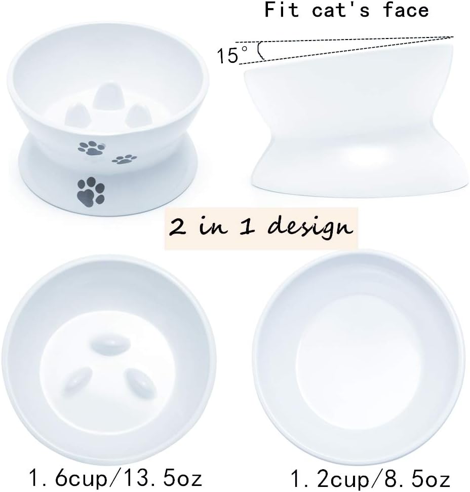 RoyalCare Raised Cat Bowl Elevated Slow Feeder Solve Vomiting Melamine