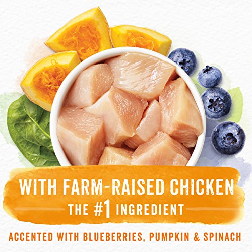 Purina Beneful Grain Free, Natural Dry Dog Food, Grain Free With Real