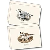 Earth Sky + Water - Plover Assortment Notecard Set - 8 Blank Cards with Envelopes (2 each of 4 styles)