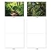 The Best Card Company - Box of 10 All Occasion Cards Blank (4 x 5.12 Inch) - Scenic Landscape Cards Assorted - Nature Trails M6467OCB