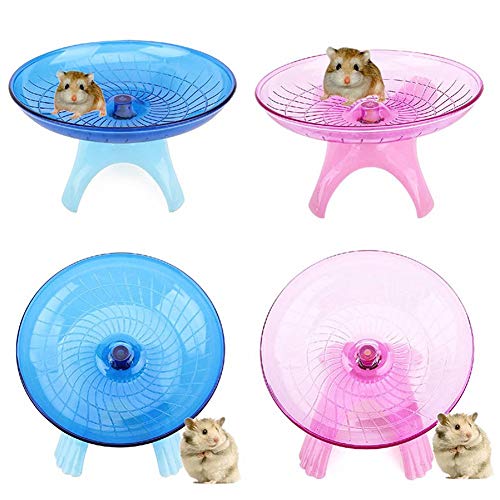 4 zswell+Hamster+Rainbow+Exercise+Jogging