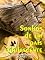 Livro Sonhos de um país adolescente