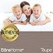 Bare Home Fitted Bottom Sheet Queen Size - Premium 1800 Microfiber - Ultra-Soft Hotel Luxury - Deep Pocket - Durable and Long Lasting (Queen, Taupe)
