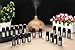 Aromatherapy Oils 100% Pure Basic Essential Oil Gift Set by Wasserstein (Top 20)
