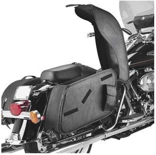 Sissy Bar with Mustang Seat? Yamaha Starbike Forum