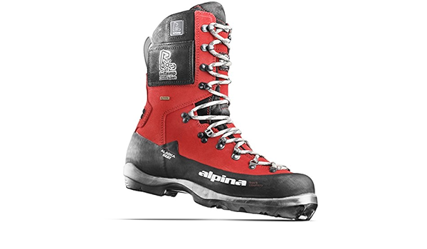 alpina alaska heat boot