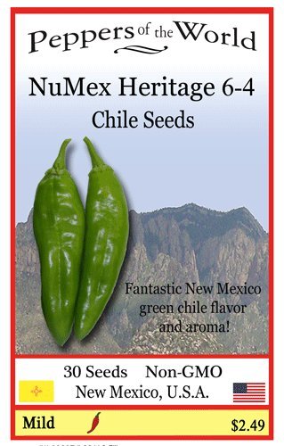 NuMex 6-4 Green Chile Seeds - Heritage Variety - 30 Seeds From New Mexico
