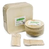 Party Set of 100 Eco-Friendly Dinnerware - 10