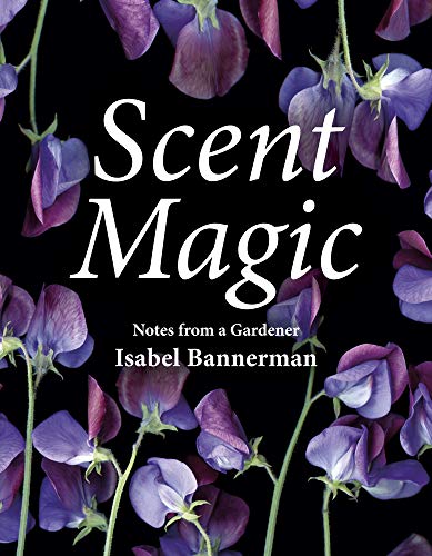 Scent Magic: Notes from a Gardener by Isabel Bannerman