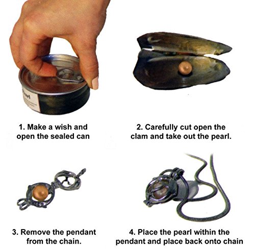 3 Neclace+Pendant+Cultured+Stainless+Turtle