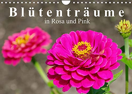Blütenträume in Rosa und Pink (Wandkalender 2022 DIN A4 quer): Von Kamelien, Rosen bis hin zu Herbstastern - Blumen in den schönsten Farben. (Monatskalender, 14 Seiten ) (CALVENDO Natur)