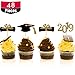 Hestya 48 Pieces Graduation Cap Cupcake Toppers Diploma Cake Table Centerpieces Sticks for Graduation Theme Party Favor Accessories (2020 Style A)
