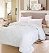 Utopia Bedding Twin Comforter Set Kids with 1 Pillow Sham, Bedding Comforter Sets, Down Alternative White Comforter, Soft and Comfortable, Machine Washable