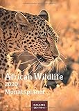African Wildlife Monatsplaner 2020 30x42cm by 